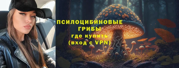прущие крисы Белокуриха